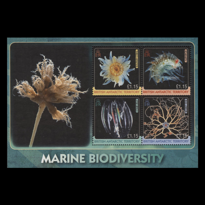 BAT 2010 (MNH) Marine Biodiversity miniature sheet