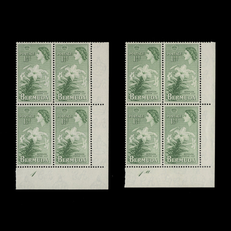 Bermuda 1954 (MNH) 1½d Easter Lily plate blocks