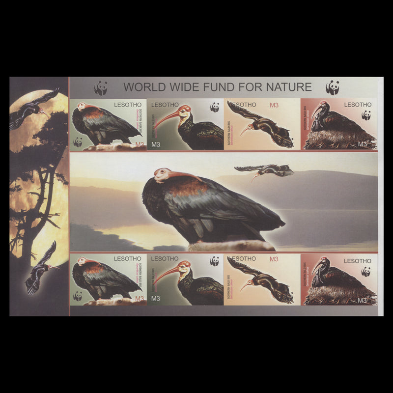 Lesotho 2004 Bald Ibis imperf proof miniature sheet