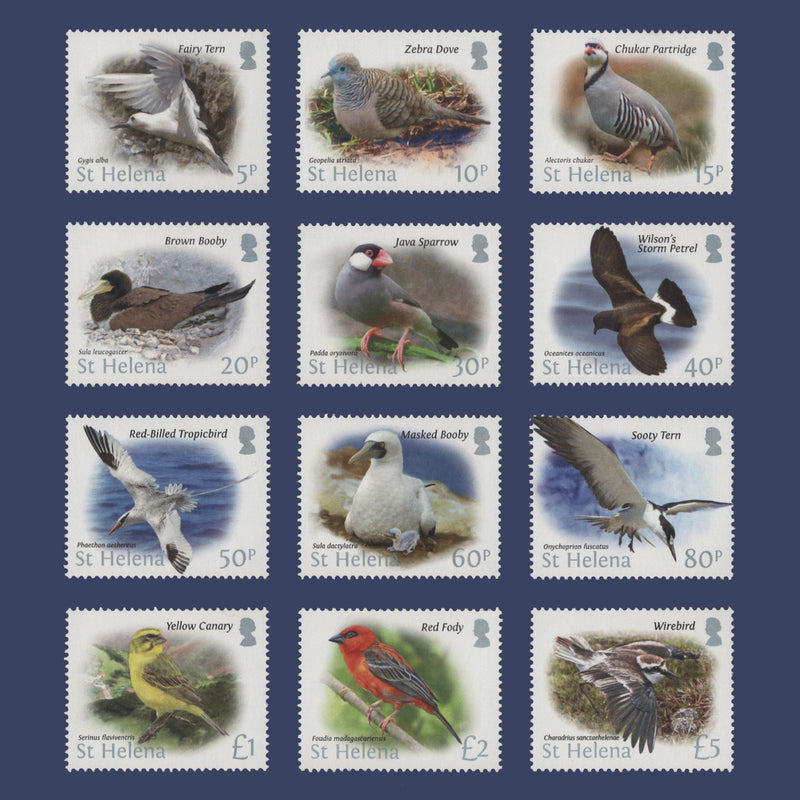 Saint Helena 2015 (MNH) Birds definitives