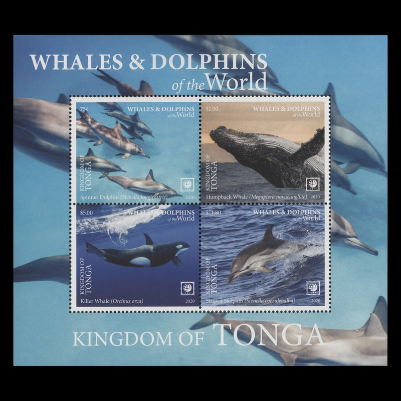 Tonga 2020 (MNH) Whales & Dolphins miniature sheet