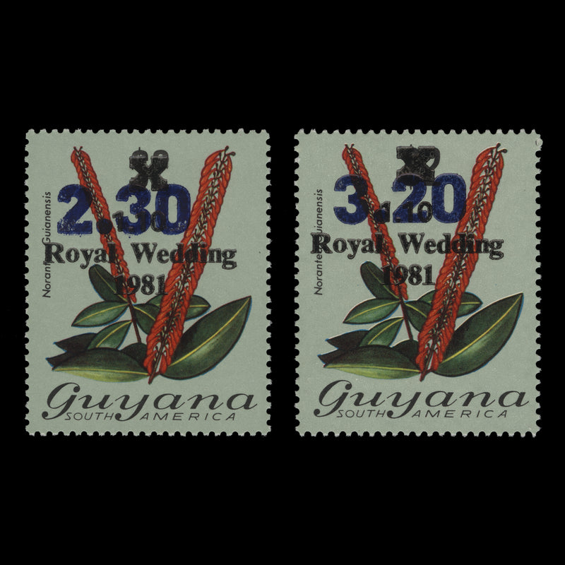 Guyana 1983 (MNH) Norantea Guianensis provisionals