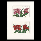 Tanzania 1991 Orchids imperf proofs in presentation folders