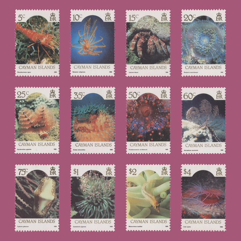 Cayman Islands 1986 (MNH) Marine Life definitives with '1986' imprint