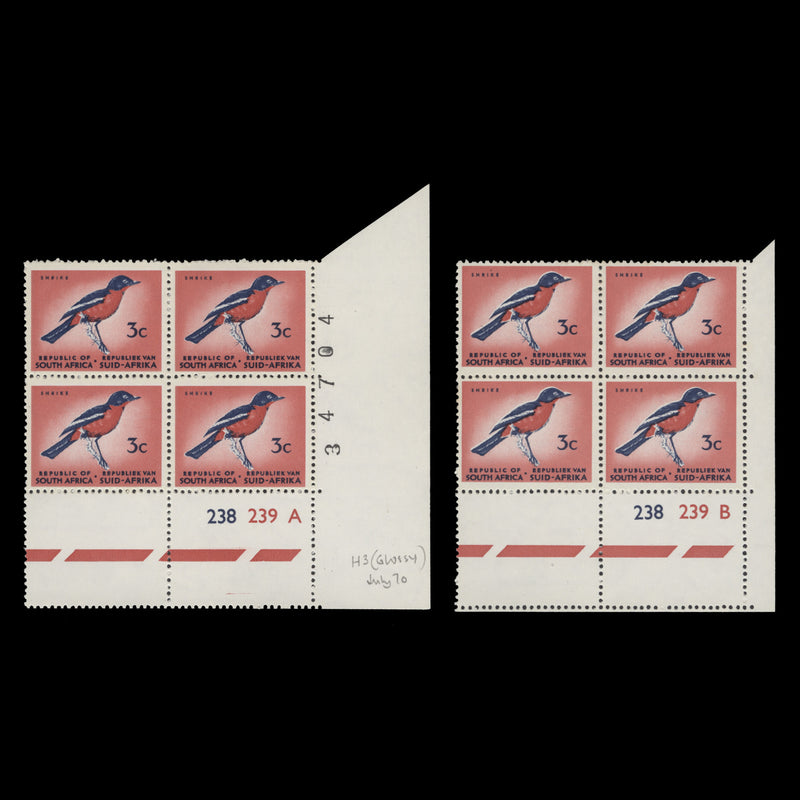 South Africa 1970 (MNH) 3c Shrike cylinder blocks, phosphor frame