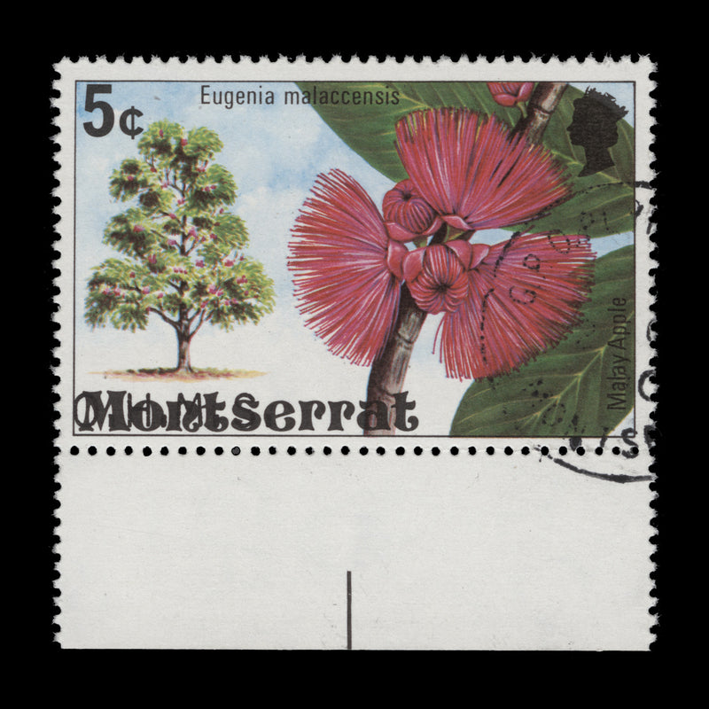 Montserrat 1980 (Variety) 5c Malay Apple official with overprint shift