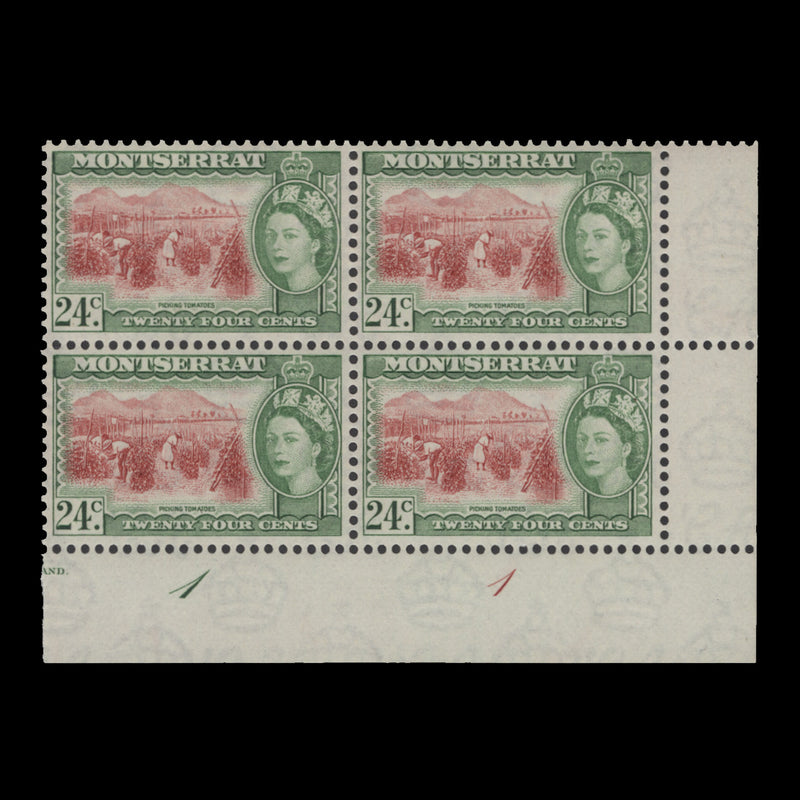 Montserrat 1955 (MNH) 24c Picking Tomatoes plate 1–1 block